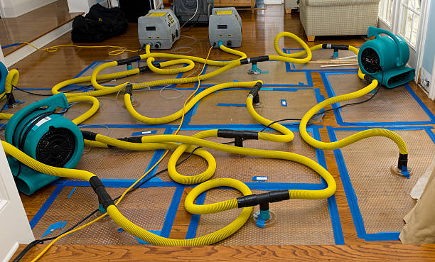 Professional Burst Pipe Water Damage technician working in Milan, NM